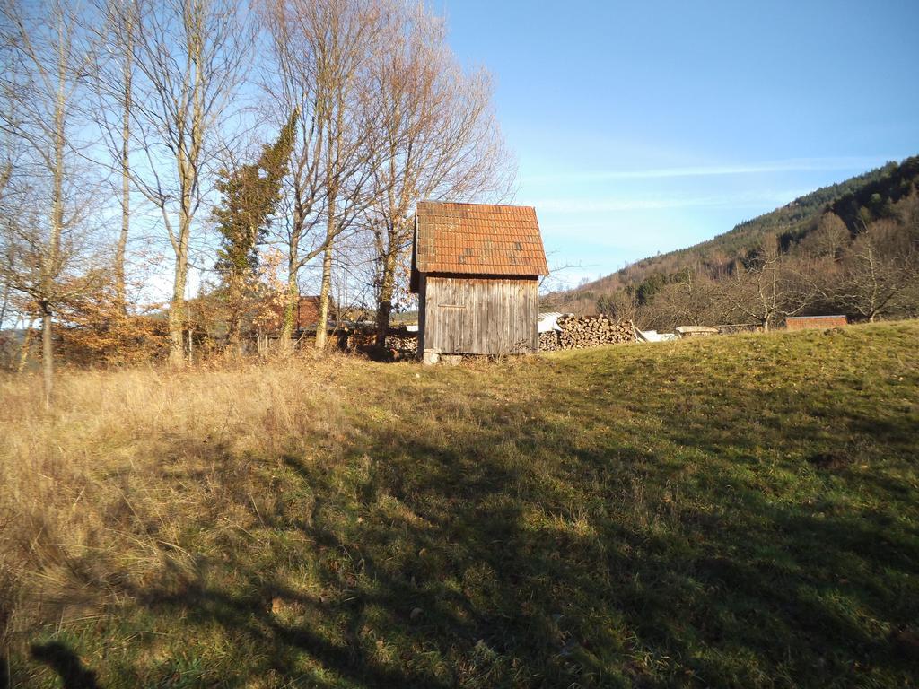 Ferienwohnung Kirchblick Langenbrand Exterior photo
